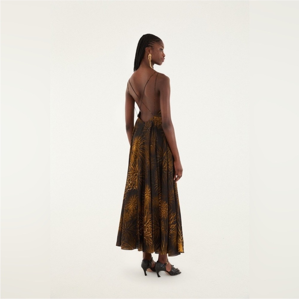 Farm Rio: Black Fireworks Sleeveless Open
Back Maxi Dress - Picture 10 of 14